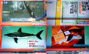 代々木 公園 サメ