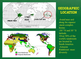 Most of the tropical rainforests of africa exist. Tropical Rainforest Project Screen 2 On Flowvella Presentation Software For Mac Ipad And Iphone