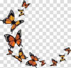 Check spelling or type a new query. Monarch Butterfly Butterfly Transparent Background Png Clipart Butterfly Watercolor Butterfly Clip Art Butterfly Illustration