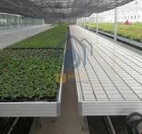 Hydroponic Flood Tables and Trays Ebb and flow Rolling Bench ...