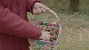 Krystal Fields (@fieldswithanf) • Instagram photos and videos