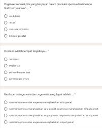 Harga penjualan $100$ buah roti adalah $\cdots \cdot$ a. Soal Pilihan Ganda Kak Bisakah Menjawab Soal Ini Tolong Di Jawab Kak 3 Soal 10 Poin Brainly Co Id