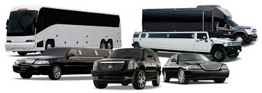 Party Bus Limo Rental - A1 Party Bus Rental