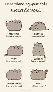 See more ideas about cat drawing, cat art, cute cat. Cute Fat Cat Drawing At Paintingvalley Com Explore Collection Of Cute Fat Cat Drawing