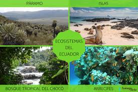Ecología conjunto que forman un medio natural y los seres vivos que habitan en él y sus interacciones mutuas la acción humana está alterando los. Cuales Son Los Ecosistemas Del Ecuador 20 Tipos Y Caracteristicas