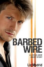 Barbed Wire by Liz Durano