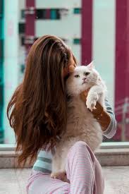 Find over 100+ of the best free cute cat images. Hd Wallpaper Woman Carryiing Cat Adorable Beautiful Cute Feline Fun Fur Wallpaper Flare