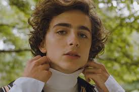 Timothée chalamet daily claims does not credit for any videos posted on this site unless stated otherwise. Timothee Chalamet To Star As Willy Wonka In Upcoming Film What We Know