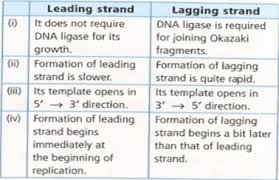 Genetics / Dna Replication (Leading & Lagging) - Pathwayz