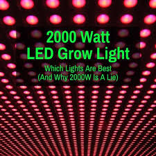 There it is one of the best led grow light for the money limited with many special bright functions, yet also the best led grow light for veg and flowering to support you the best with your garden and plant growth. 2000 Watt Led Grow Light Which Are Best And Why 2000w Is A Lie Grow Light Info