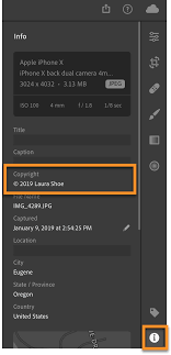 To do that, click metadata > save metadata to file… or use the shortcut ⌘s. How To Add Copyright Information In The Cloud Based Lightroom Desktop And Mobile Apps Laura Shoe S Lightroom Training Tutorials And Tips