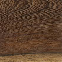 Image result for Millettia stuhlmannii