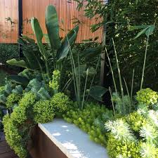 David Baptiste Garden Design Davidbaptistegardendesign Instagram Photos And Videos