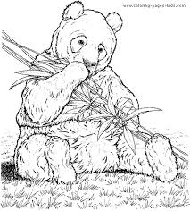 Panda Bear Color Page Bear Coloring Pages Panda Coloring Pages Animal Coloring Pages
