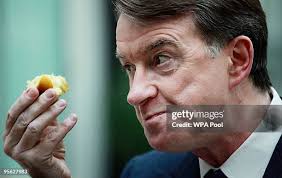 486 Patricia Apple Photos & High Res Pictures