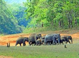 Top 10 Wildlife Sanctuaries And National Park In Kerala ► bird sanctuaries of himachal pradesh‎ (1 p). wildlife sanctuaries and national park