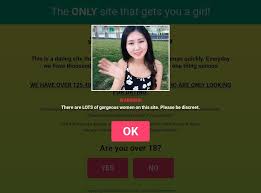 Our customers are young single professionals in their 20s, 30s, and early 40s. Asian Speed Dating Reviews How To Date A Foreign Girl Martin Pakos