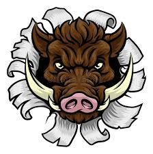 Angry Pig Cartoon Stock Illustrations ...