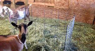 Hay is never cheep to buy so i really have it when the goats waste so much of it. Hay Feeder Options For Goats Simple Living Country Gal
