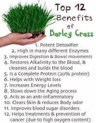 Pin By Rafia Ahmed On Sante Pure Barley International How To Increase Energy Wheat Grass Health Benefits