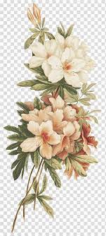 Flores Vintage White And Pink Flowers Transparent Background Png Clipart Vintage Flower Backgrounds Flower Aesthetic White Flower Png