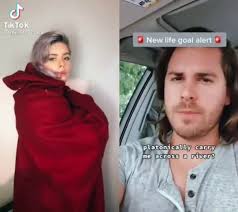 This video was shared by Tumblr user @high-quality-tiktoks.