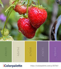 Free collection of 112 fruit color palettes to inspire your ideas. 19 Accessory Fruit Color Palette Ideas In 2021 Icolorpalette
