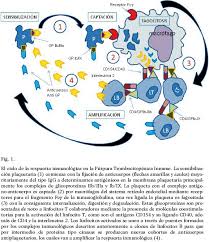 This is due to a low number of blood cell fragments called platelets. Purpura Trombocitopenica Idiopatica Home Facebook