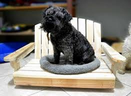 It makes a great gift for dog lovers out there. Make Great Dog Beds From Euro Pallets Themselves Dog Beds Made Of Wood Interior Design Ideas Avso Org