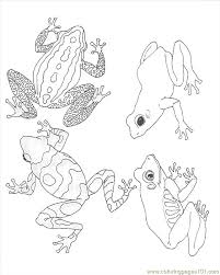 Our online collection of easy and adult coloring pages feature the best pictures for you to color. Coloring Frogs Coloring Page For Kids Free Frog Printable Coloring Pages Online For Kids Coloringpages101 Com Coloring Pages For Kids