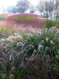 Skogstorpet Tradgardsdesign Gardendesign Landscaping Beaux Jardins Jardin Naturel Jardins