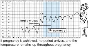 fertility education training