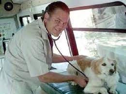 Aaron S Ark Mobile Veterinary Clinic 480 510 1000 Scottsdale Airpark All Of Scottsdale Pv Part Of N Phx North To Care Mobile Vet Sun City West Peoria