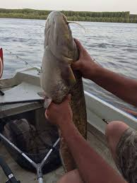 Locurile libere vor fi actualizate la zi, excursia devenind validă în momentul confirmării a minim 10 locuri ocupate. Https Www Xn Delt 3sa Ro Ro Pescuit 20la 20stiuca 20in 20delta 20dunarii