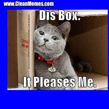 Cats have been stealing the show on the internet almost since its inception, with pictures of cats being shared on usenet long before most people. Found On Bing From Memesboy Com Funny Cat Memes Cat Memes Clean Cat Memes