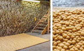 Die firma tisca teppiche produziert teppiche im vierländereck wie sie selber sagen: Teppiche Design Und Mobel Inneneinrichtung In Potsdam Freiraum Einrichten