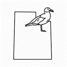 They nest in great colonies, often mixing with other types of birds. Borders Map State State Bird State Symbol Usa Utah Icon Download On Iconfinder