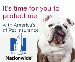 Some policies will pay out when the pet dies, or if the pet is lost or stolen. Nationwide Pet Insurance Group Discounts And Savings For Dog And Cat Pet Insurance From My Better Benefits Employee Savings Over 3 500 Savings And Discount Opportunities