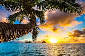All local governments are generally administered at the county level. Hawaii Ein Sehnsuchtsziel