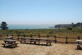 Maybe you would like to learn more about one of these? Ano Nuevo State Park