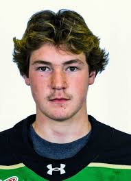 Prince Albert Raiders 2025-26 hockey player register at Hockeydb.com