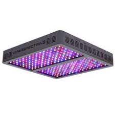 Cob led grow lights are the latest trend for growing marijuana and weed indoors in recent times. 29 Best Grow Light Ideas Best Led Grow Lights Grow Lights Led Grow Lights