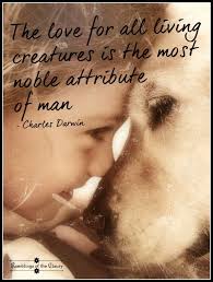 Nobility Animal Love Quotes Dog Quotes Animal Quotes