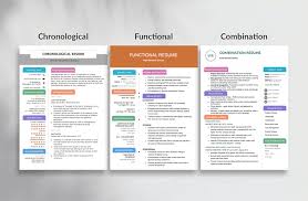 Best Resume Formats For 2021 3 Professional Examples