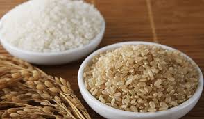 Rice Vs. Pasta: The Better Option – Moms Who Think