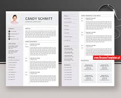Take the free cv test to discover yours! Professional Resume Cv Template Word Free Download 2020