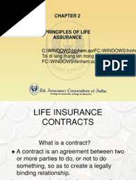 Principles of life insurance in india. Principles Of Life Insurance Pdf Insurance Life Insurance