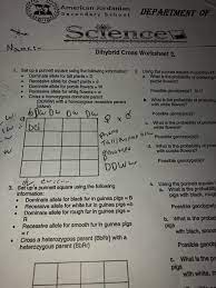 Some of the worksheets for this concept are dihybrid cross practice answer key, chapter 10 work answers, chapter 10 work answers, chapter 10 work answers, chapter 10 work answers, chapter 10. Chapter 10 Dihybrid Cross Worksheet Answer Key Rabbits How Do Traits Pass From Parents To Offspring Ppt Download These Letters Represent The Genotypes Of The Rabbits Axshxpopas