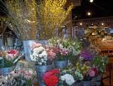 We did not find results for: Fun Shopping Brentwood Tn The Fresh Market The Brentwood Tn Guide