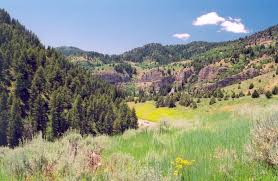 Logan is a city in cache county, utah, united states. Logan Canyon Scenic Byway Photos America S Byways
